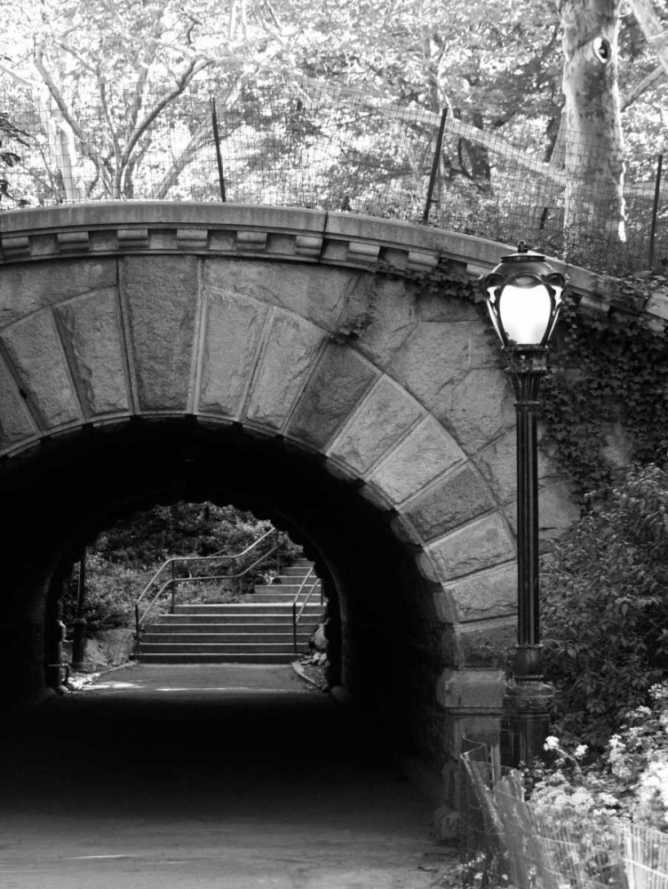 Under The Bridge