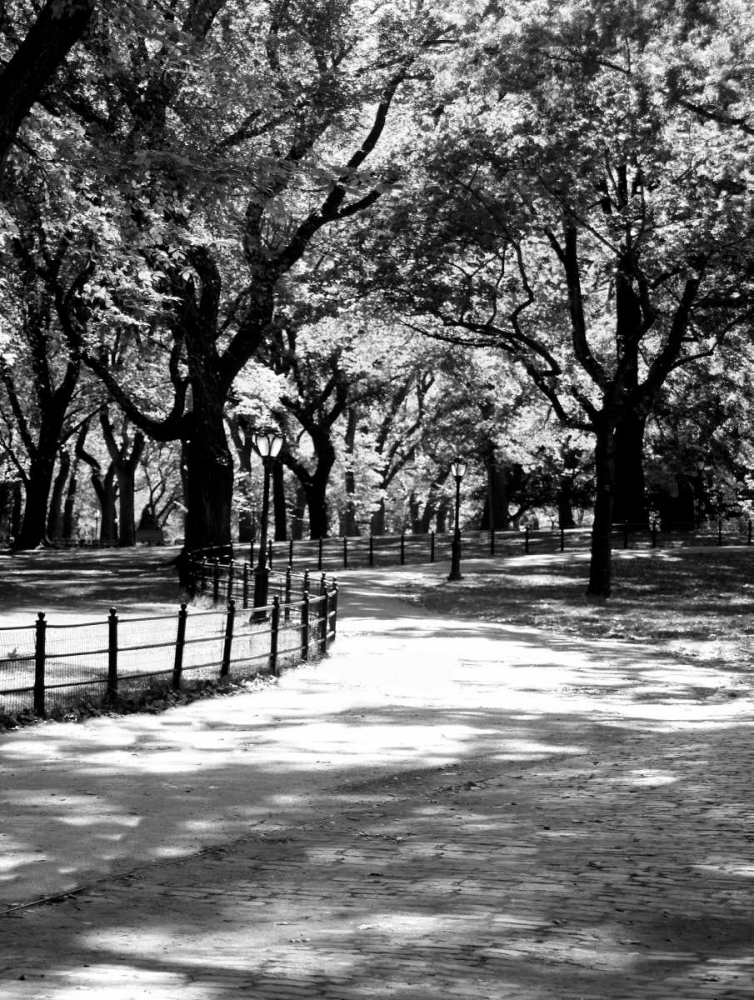 Central Park Walk 2