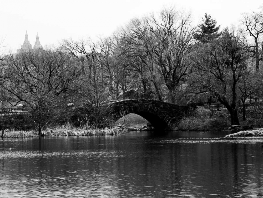 Central Park Bridge 2