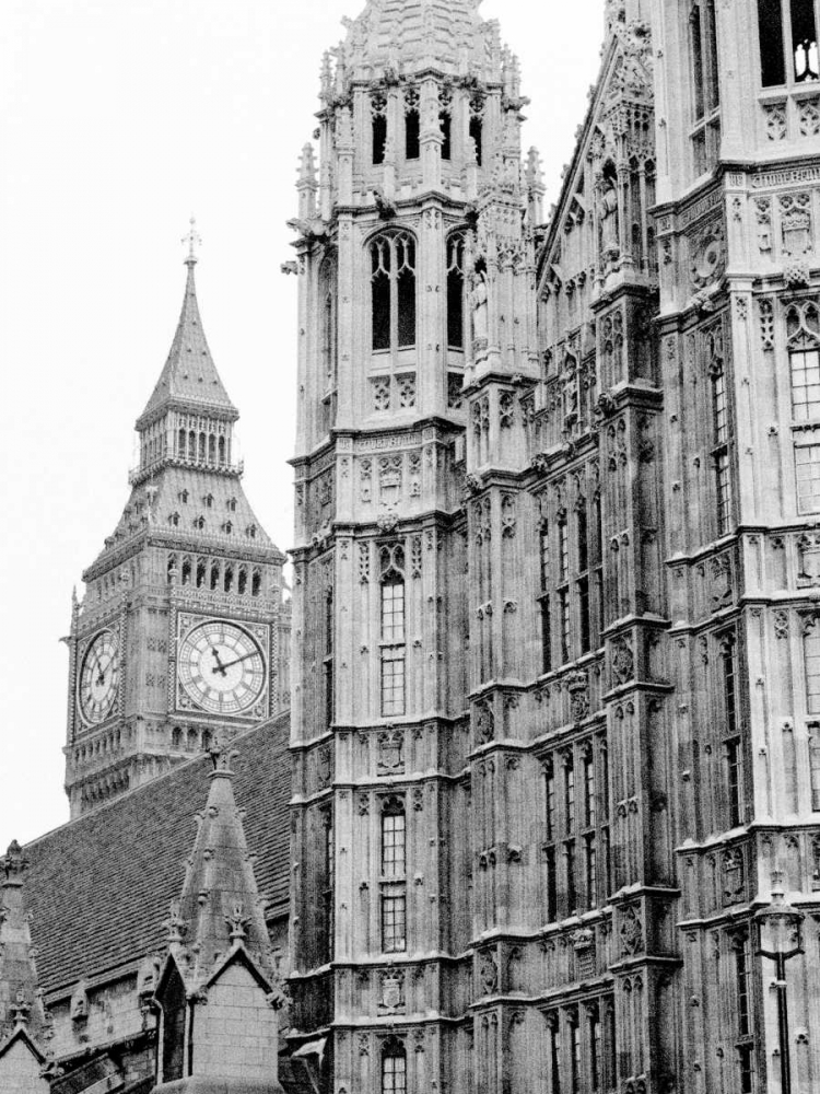 London Natural History Museum