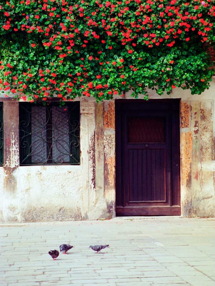 Venice Floral Overhang