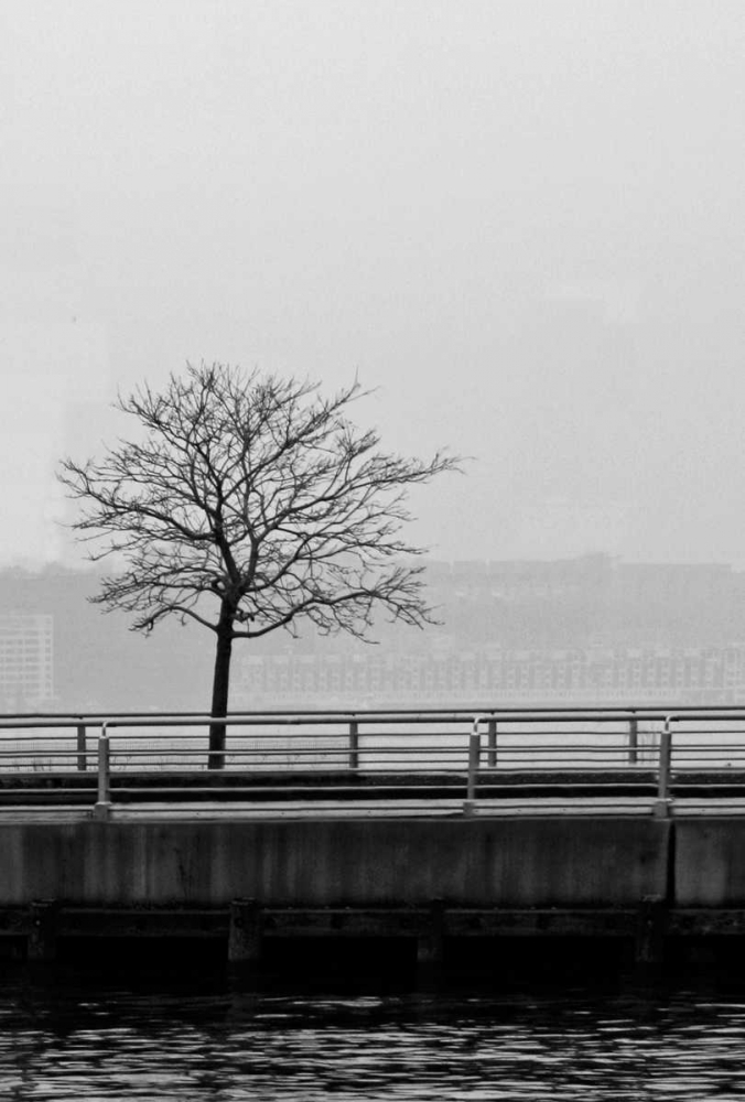 Tree View 1