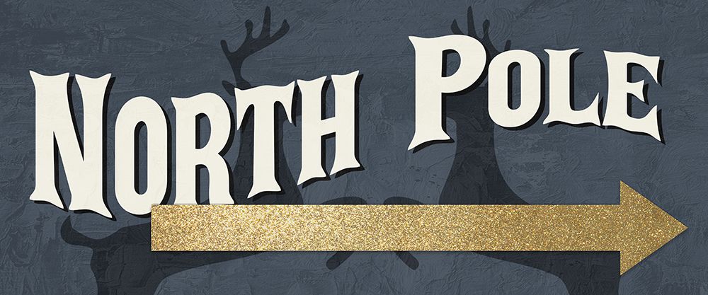 To The North Pole