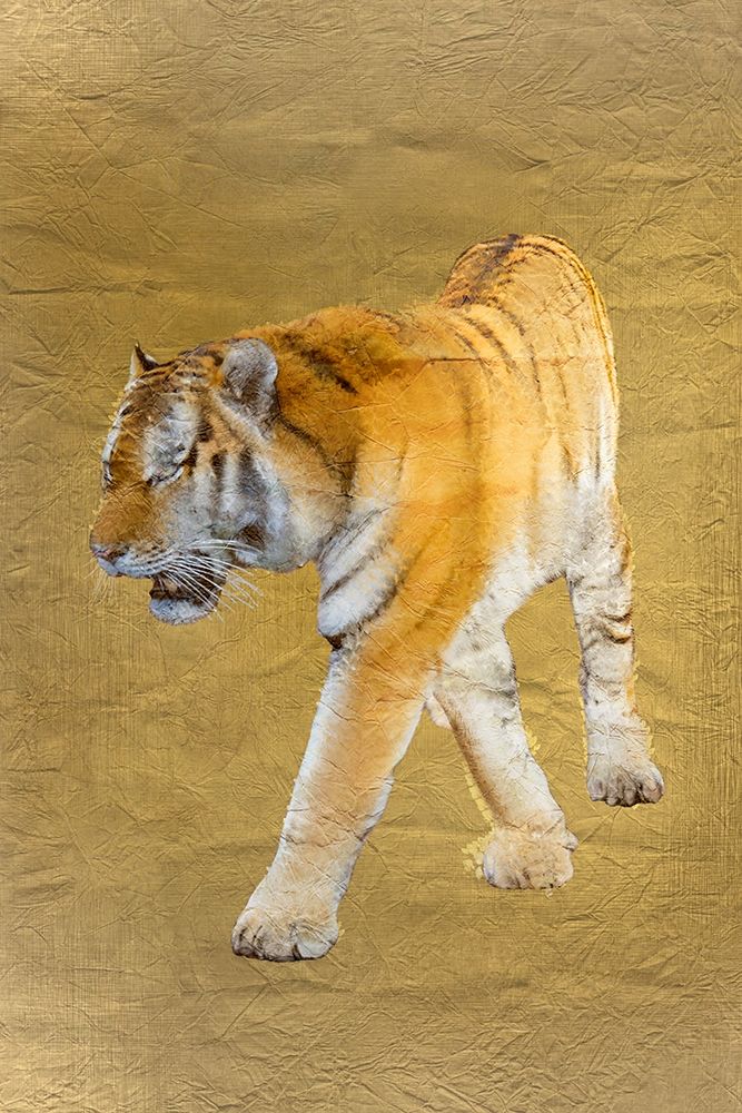 Tiger Gold v2