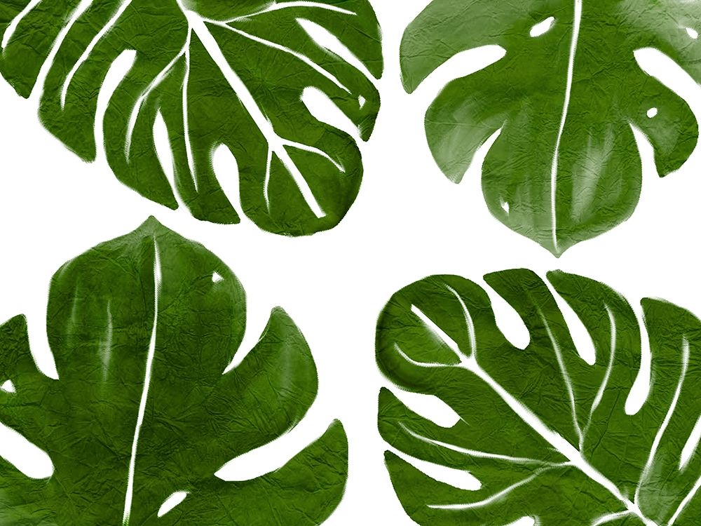 Tropic Green 2