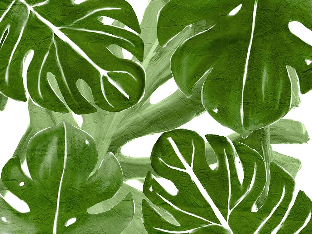 Tropic Green 4