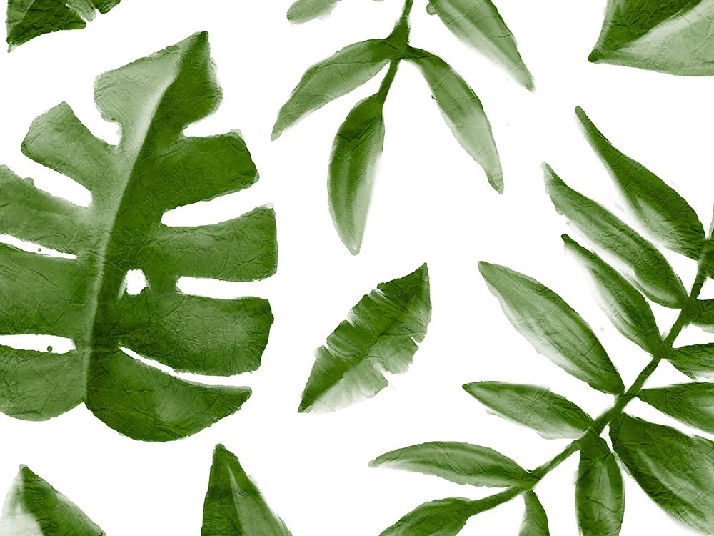 Tropic Green 1