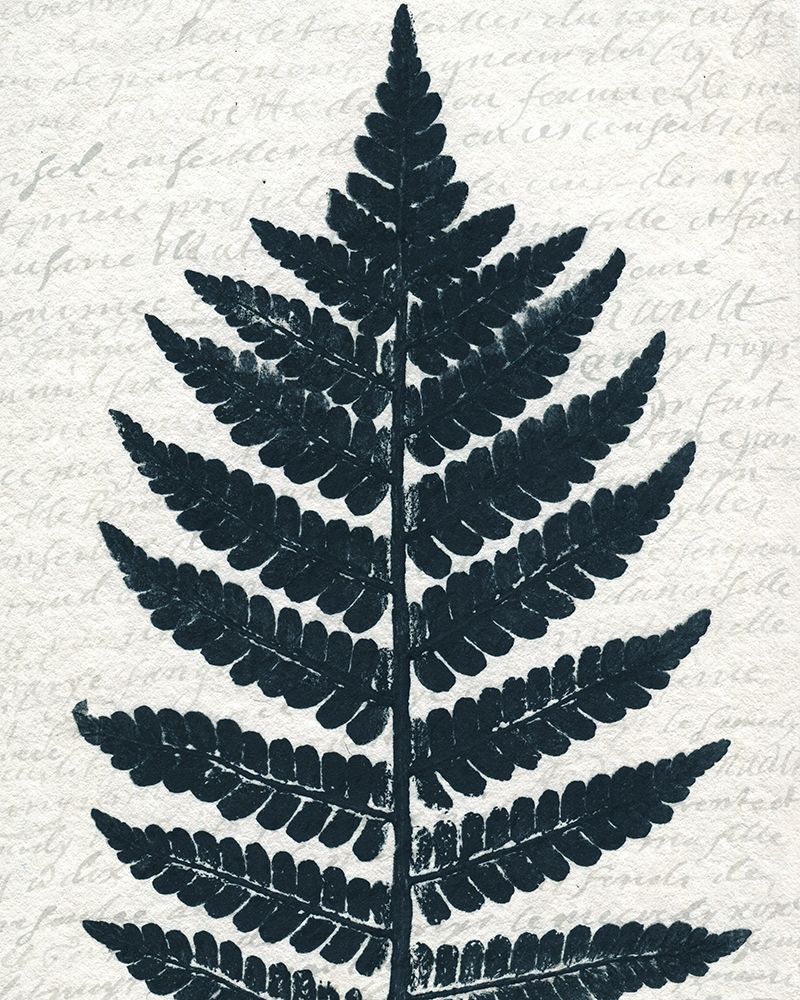 Pressed Leaf 1