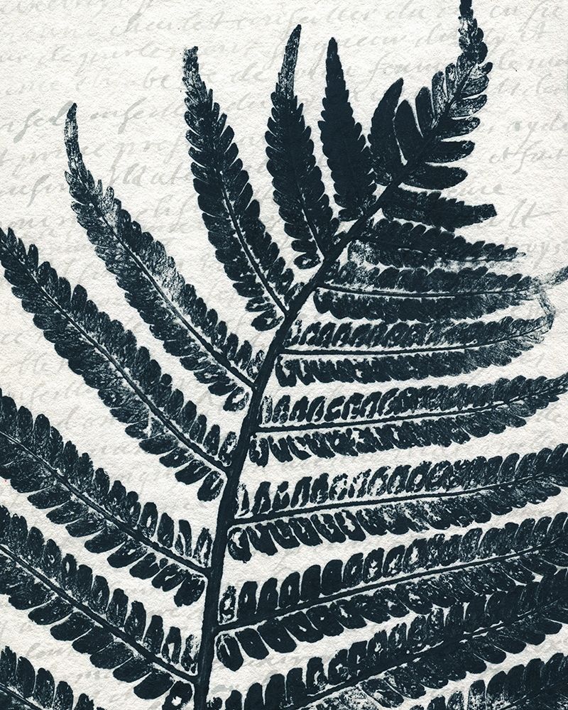 Pressed Leaf 2