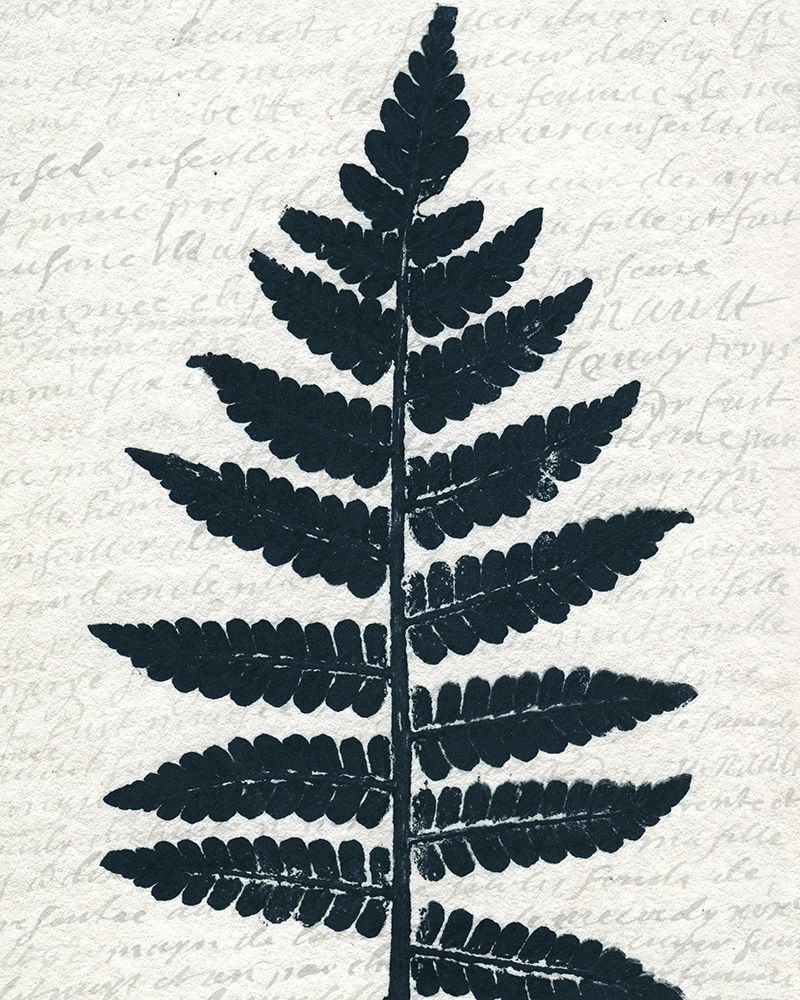 Pressed Leaf 3