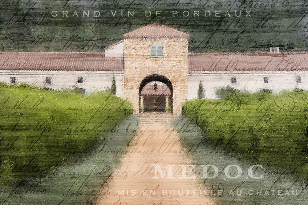 At the Vineyard
