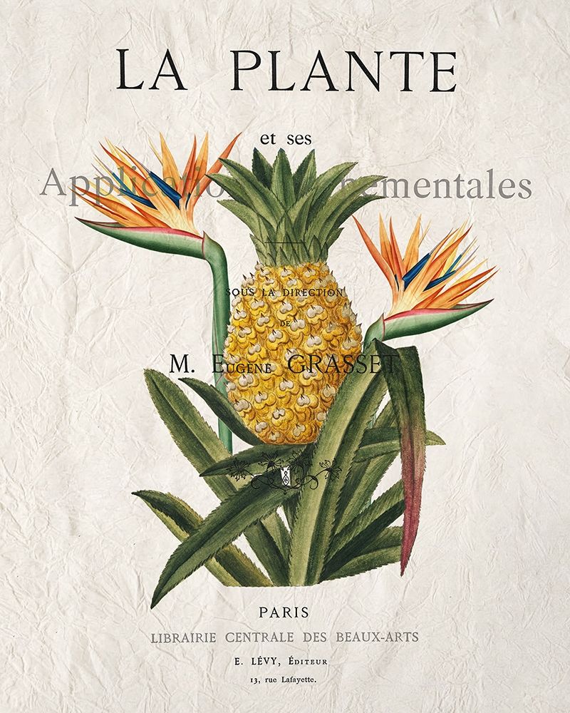 La Plante