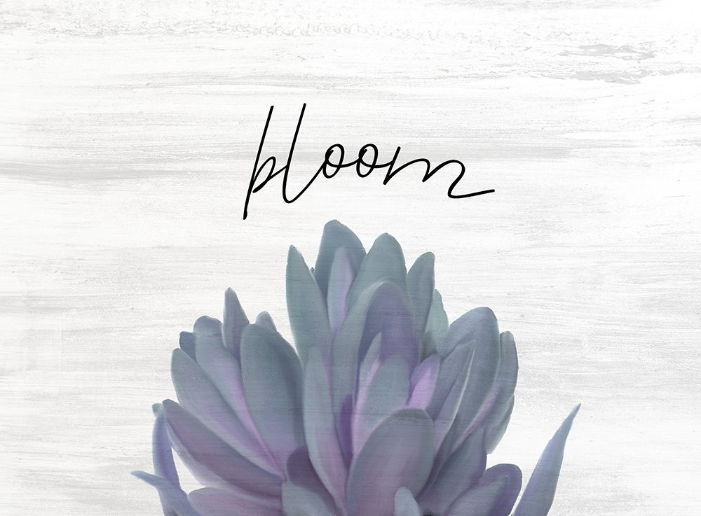 Bloom