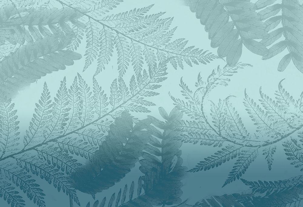 Ombre Palms 2