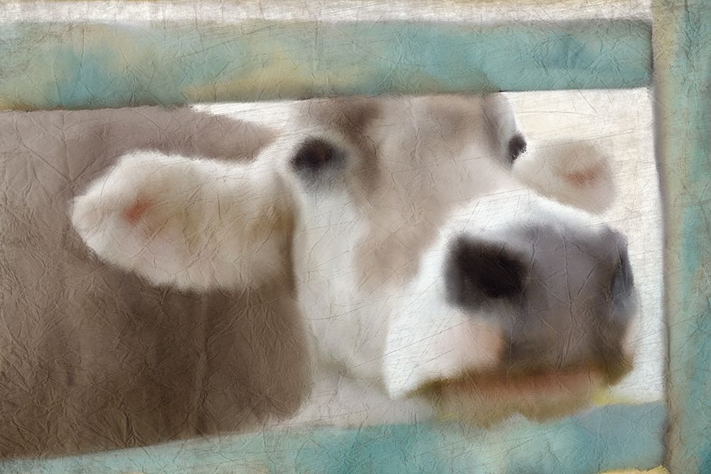 Out of the Fence