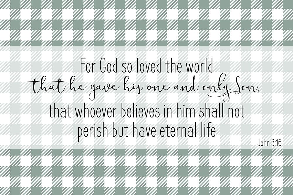 John 3 16