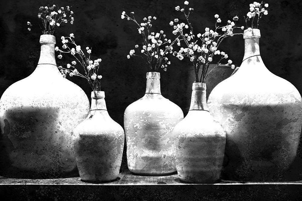 Monochrome Vases