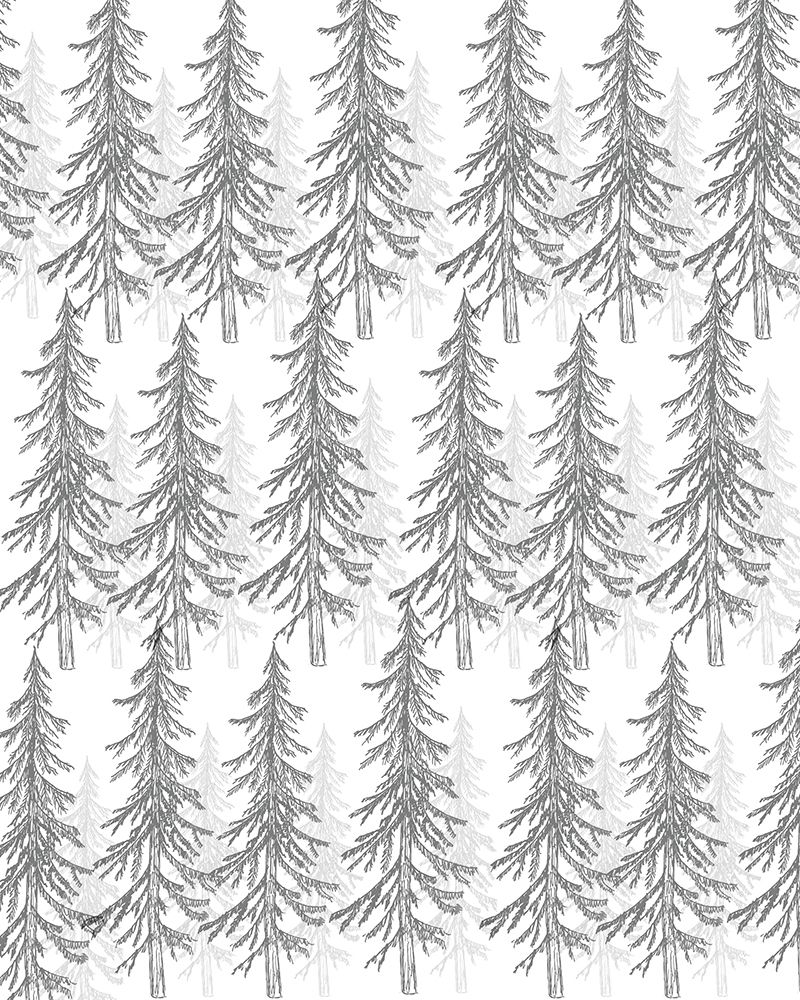 Woodland Retreat 6