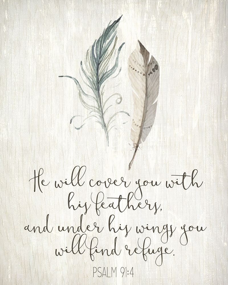 His Feathers 1