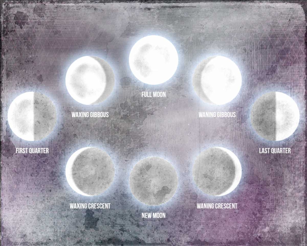 Phases of the Moon