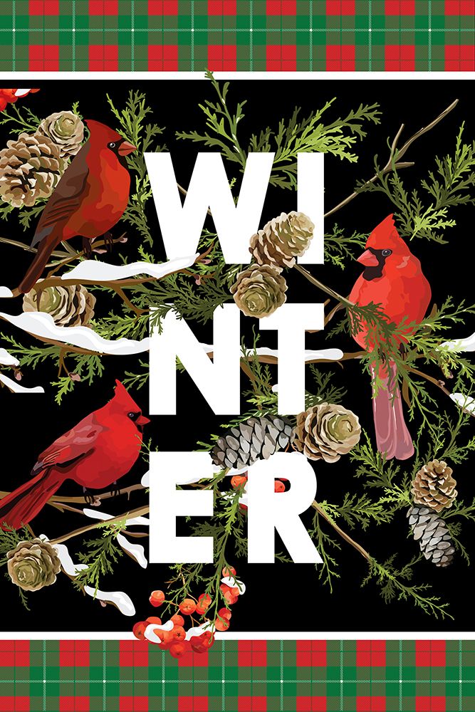 Winter Cardinals