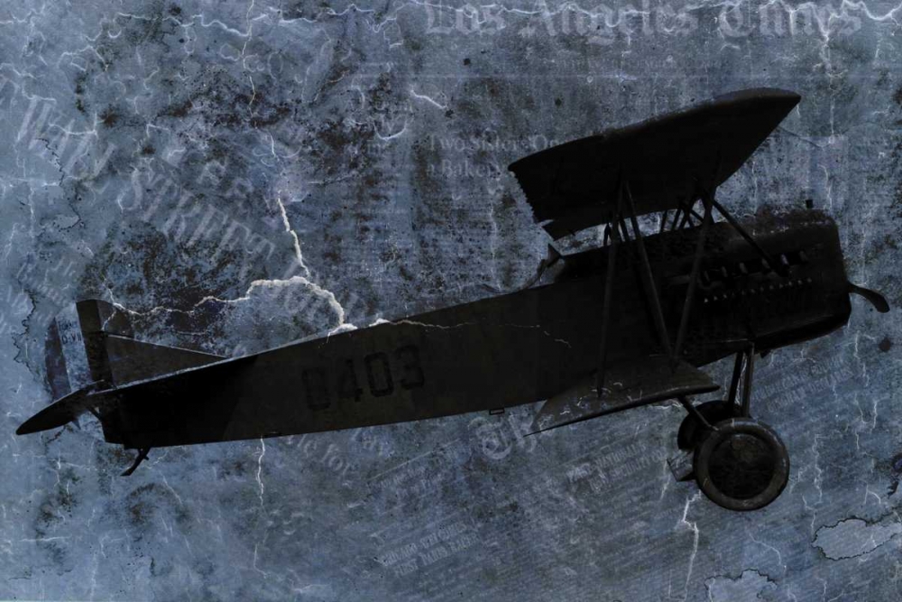 Indigo Plane