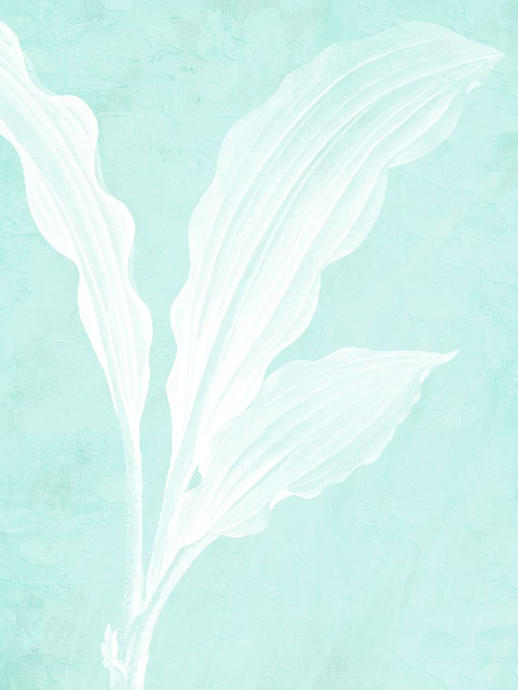 White Palm 1