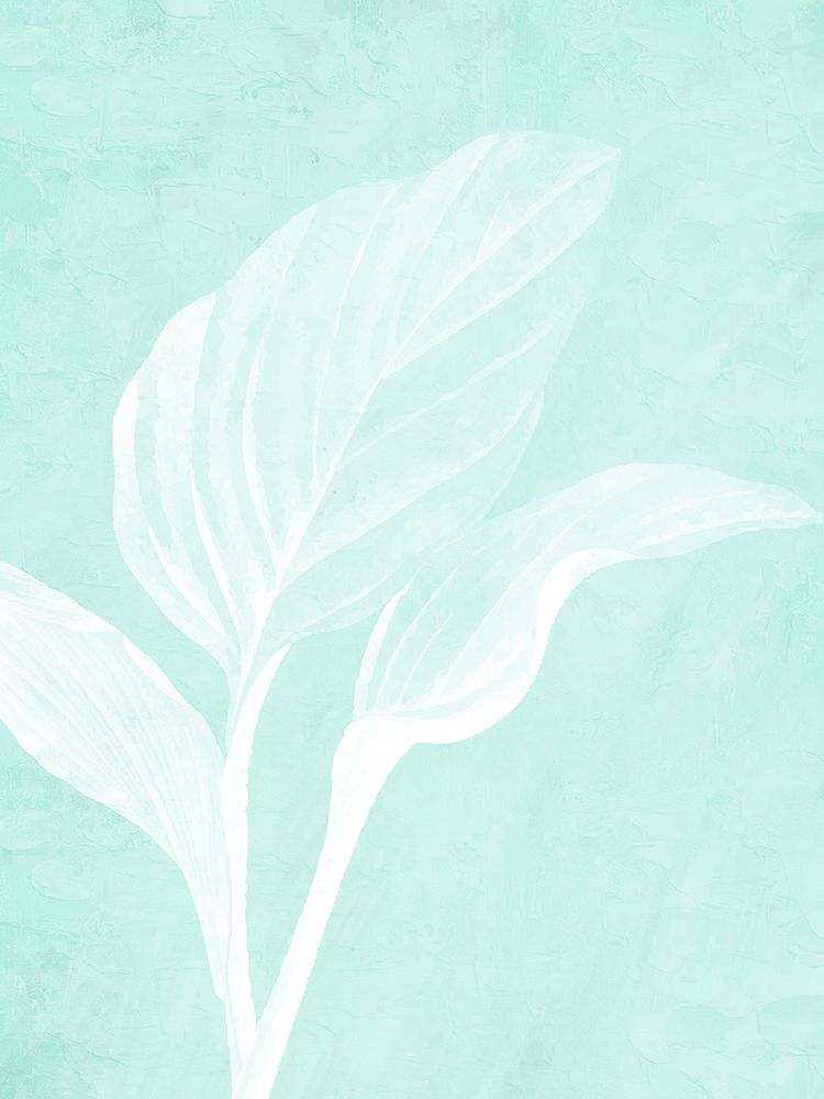 White Palm 3