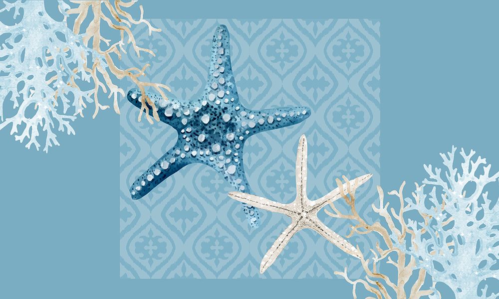 Starfish Tours