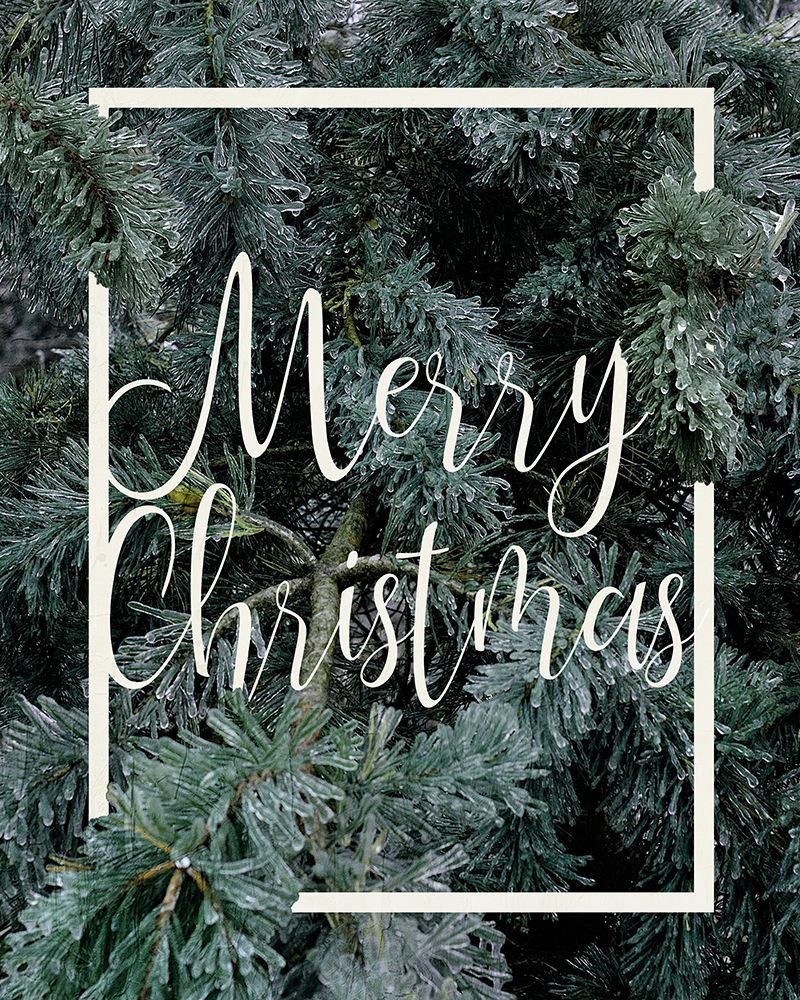 Christmas Foliage