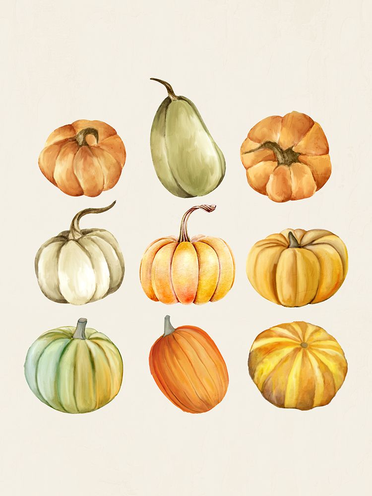 Pumpkin Collage