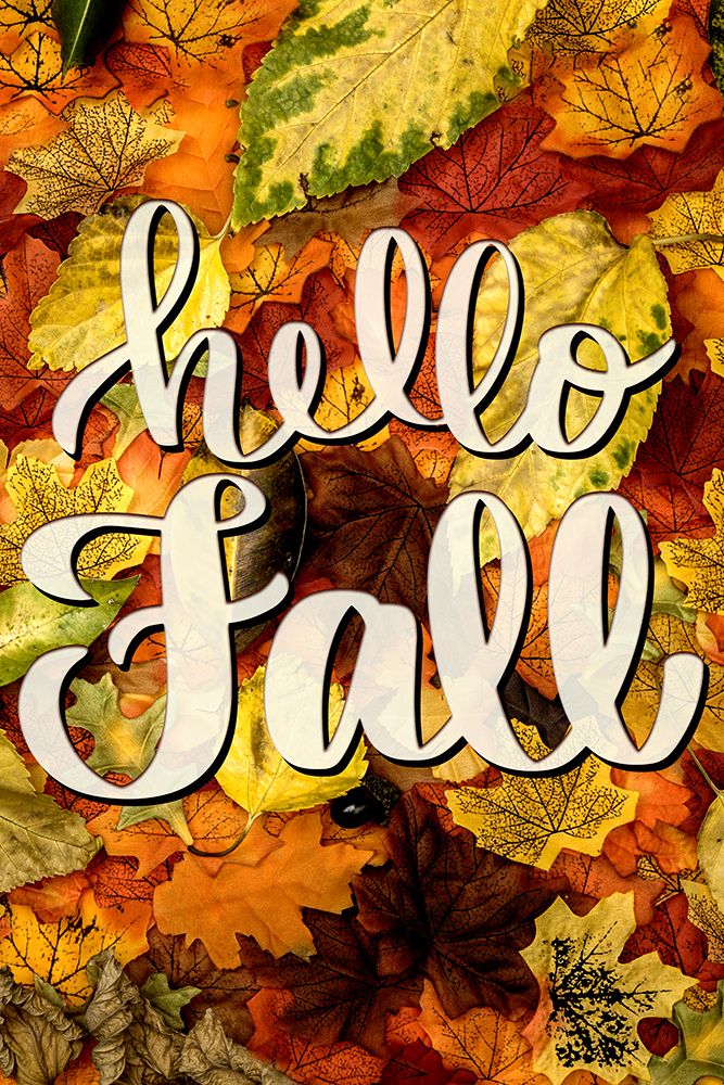 Hello Fall Leaves
