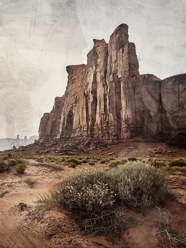 Rock View