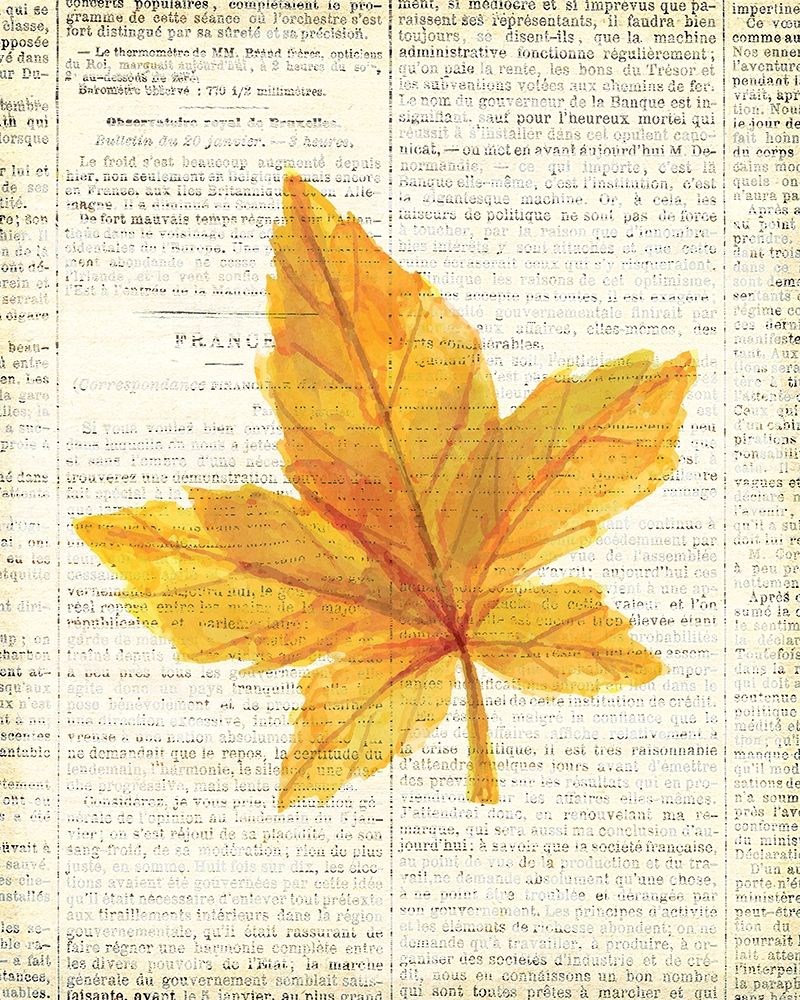 In the Fall 1