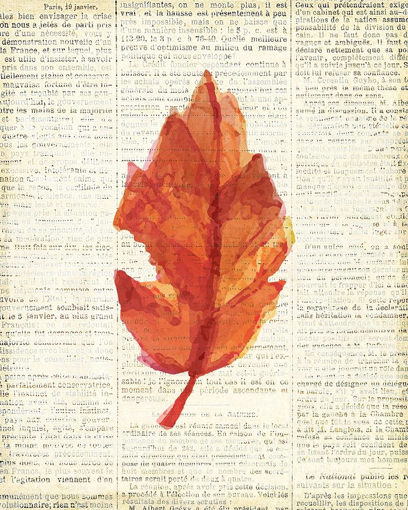 In the Fall 2
