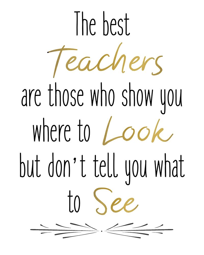 Teachers 3