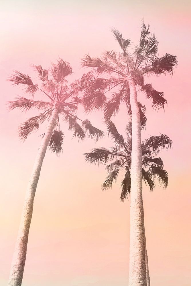 Pink Sunset 2