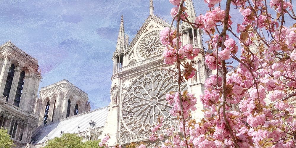 Paris in Bloom 3