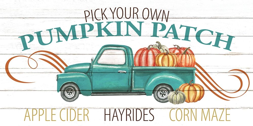 Pumpkin Patch