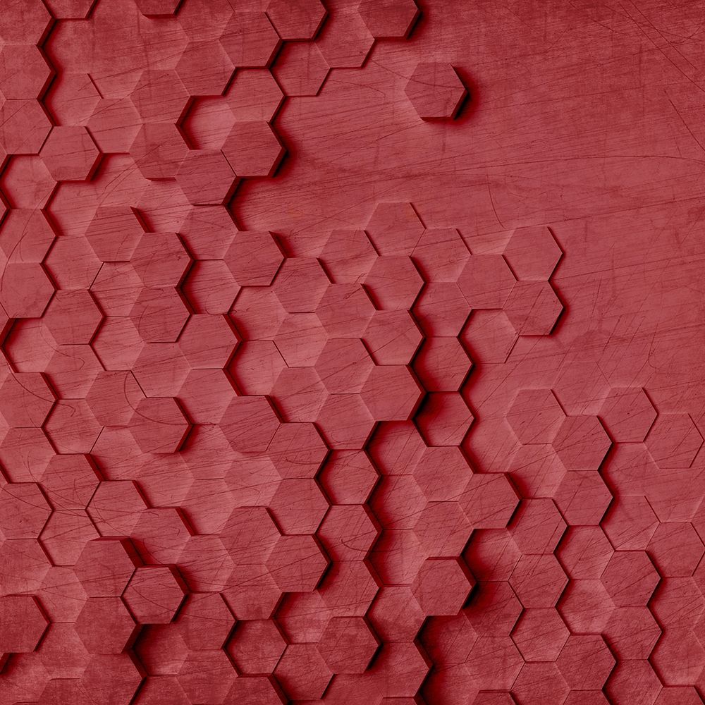 Geo Grid 1