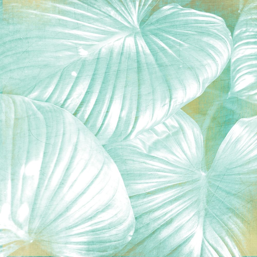 Tropics 1