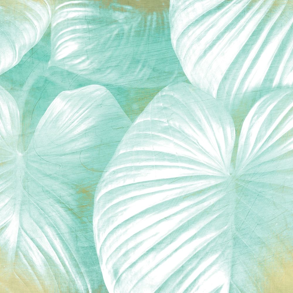 Tropics 2