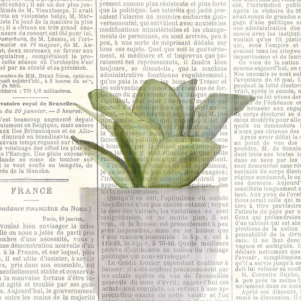Potted Print 2