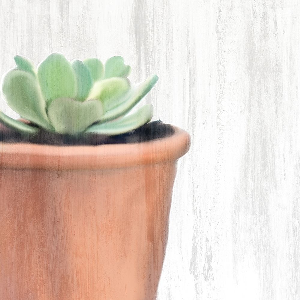 Copper Pot 1