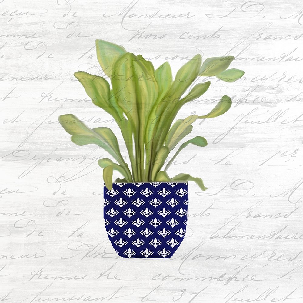 Blue Pots 1