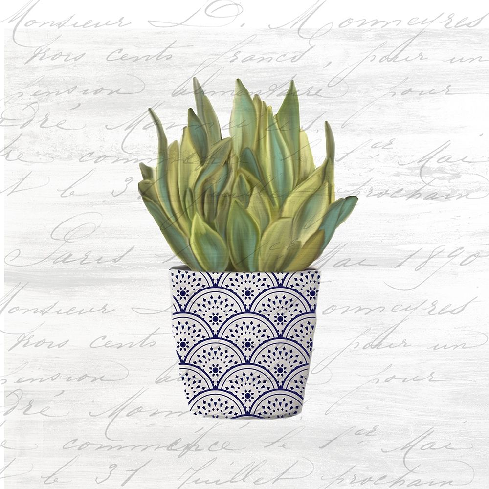 Blue Pots 2