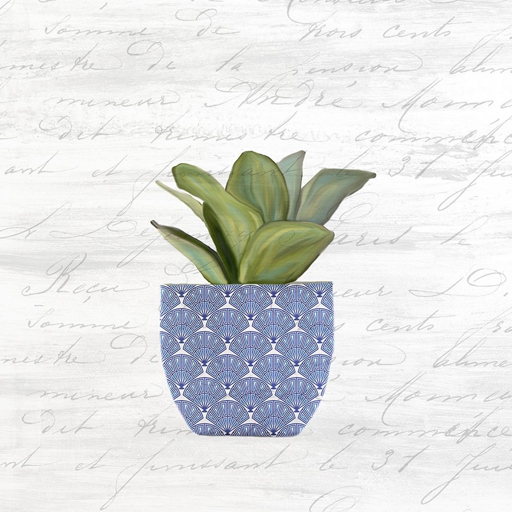 Blue Pots 3