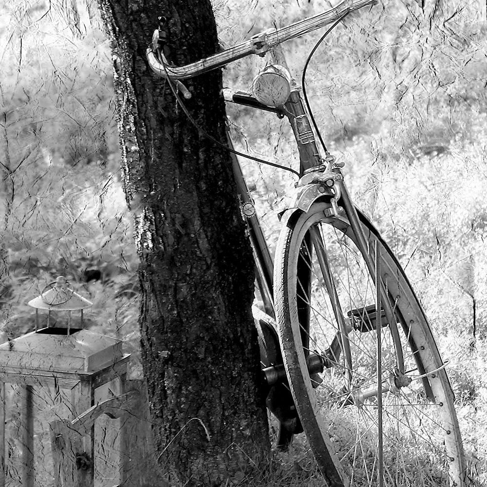 Out for a Ride