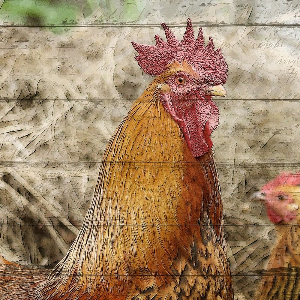 Farm Life 5