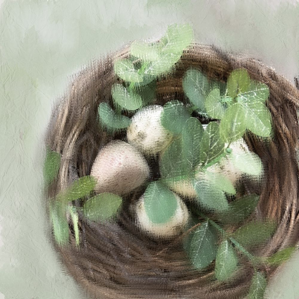 Our Nest 3